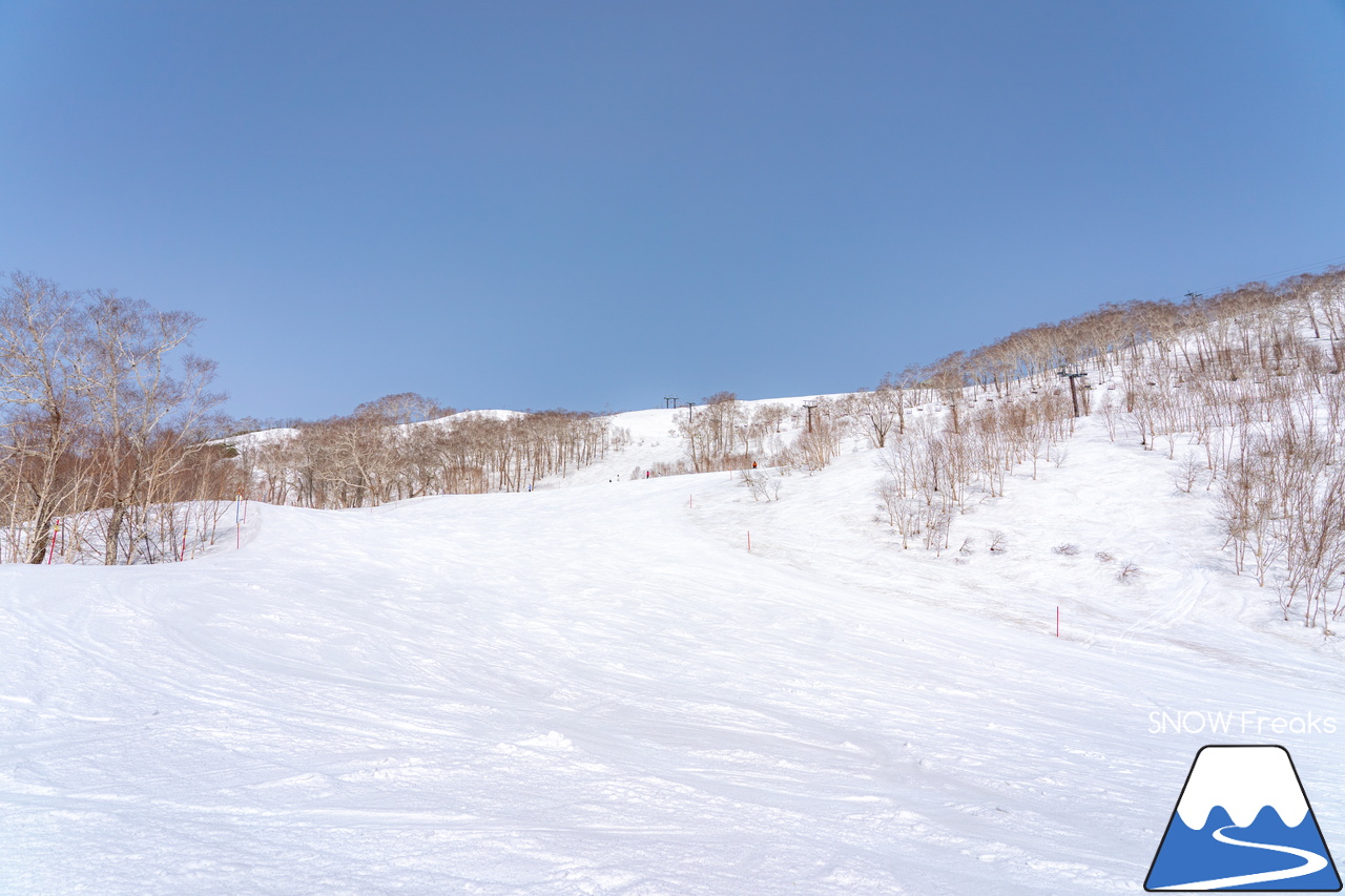 ニセコビレッジ ＆ ニセコHANAZONOリゾート ＆ ニセコ東急 グラン・ヒラフ｜現在も全エリアで山頂から山麓まで大部分滑走可能！とにかく広い世界のニセコ(^^)v